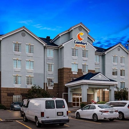 Comfort Suites New Orleans East Exteriér fotografie